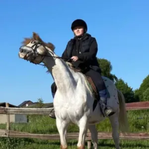 Pet-Sitter à ATH a votre diponible pour vous 🩷