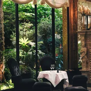 Femme de ménage, service à domicile, accompagnement..