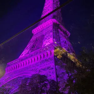 Ménage de printemps 