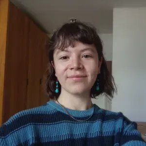 Experienced cleaner living in Paris