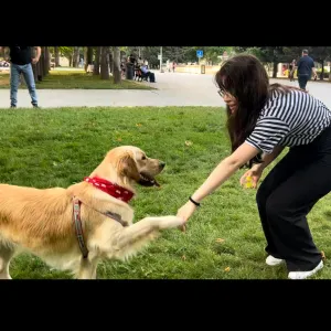 My superpower dream…a world where I can talk to animals