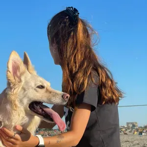 Pet sitting a Ferrara e nelle vicinanze 