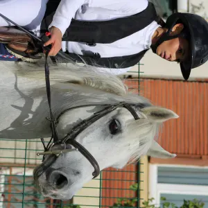 Pet-sitter motivée et disponible dans l'immédiat 