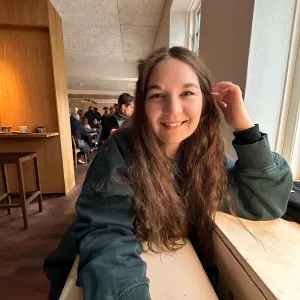 Responsible cleaner in DS Rengoring