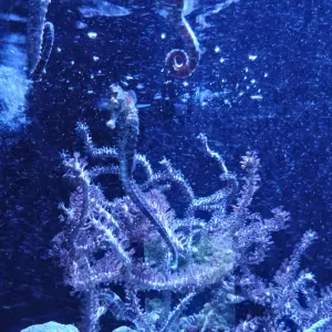 Recherche Baby-sitter