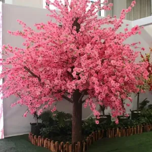 Je recherche une aide aux devoirs 