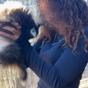 Babysitteuse expérimentée à Nîmes