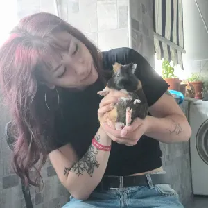 Pet Sitting Napoli amo gli animali