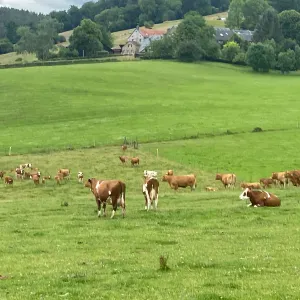 Aide à domicile pour vos ainés sur liege 