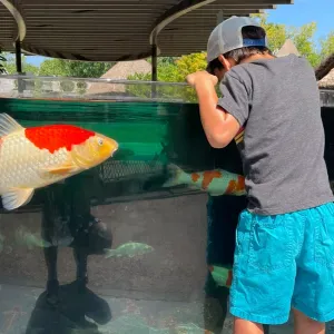 Garde d'enfant (8 ans) le mercredi, Paris 15ème - urgent