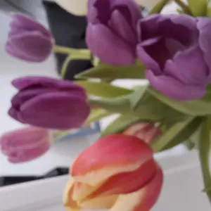 Flexibke Cleaner in Bruxelles 