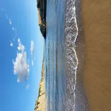 Accompagnement, bienveillance, présence pour vos proches!