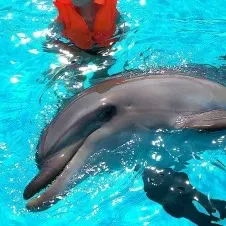 Repassage 3h / Semaine à St-Cloud (Val d'Or)