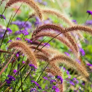 pagalba su namų darbais darbas Garliavos Apyl. seniūnija