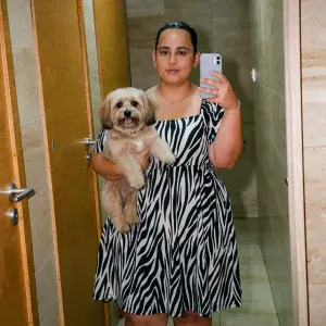 Pet sitting Falagueira Venda novas 