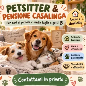 Cat Sitter esperta a Medicina