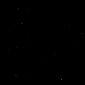 Ménage et rangement à Bruxelles