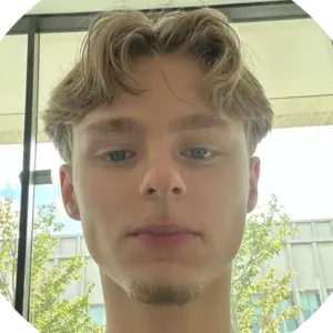 Baby-sitter avec formation BAFA à Massy