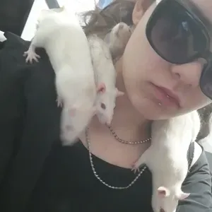 Pet-Sitters à Amiens, propre centre 