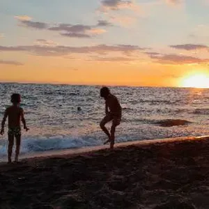 Pet-sitter à Chécy et Combleux