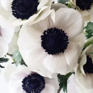 Recherche nounou de confiance pour Gabin 23 mois