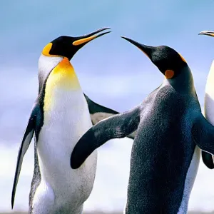 Poste pour un(e) aide ménagère à Saint-Germain-Sur-Ay