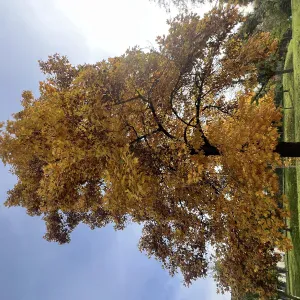 Aide à domicile à domicile à Lausanne 