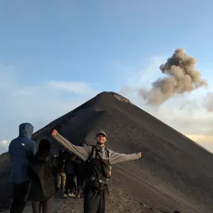 Disponible tout l'été pour chouchouter vos compagnons ! 