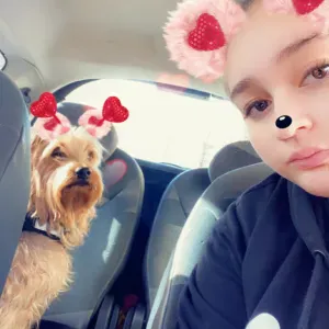 Petite annonce pour garder vaut bébé