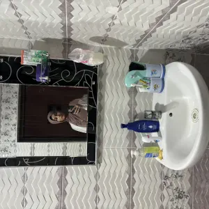 Vacances zen pour chats et toutous🐾