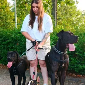 Petsitting e Dog walker em Fafe