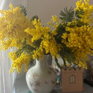 Baby-sitter , accompagnatrice 