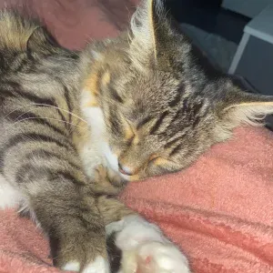 Proposition de promenade et visite 