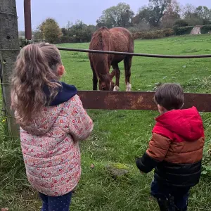 Baby-sitter à domicile