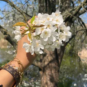 Baby sitter gentille sérieuse et attentionnée 💕