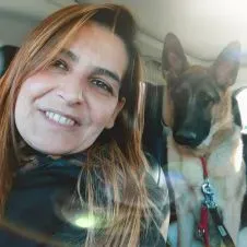 Pulizie domestiche e stiro. Referenziata