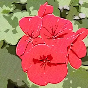 Heures de ménage pour compléter