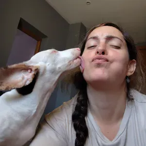 Cuidadora de animales en Alfaz del pi 