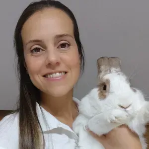 Pet Sitting em S.M.Feira, Ovar, S.J.Madeira e Arredores