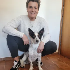 Per Sitter em Leiria e regiões