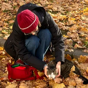 Pet sitting a Trento Pet sitting a Trento