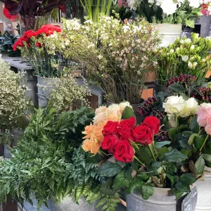 Recherche garde d'enfants à Saint-Cyr-l'École