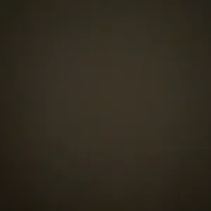 Mucho cuidado con total dedicación 