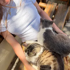 Pet sitter sérieuse, douce et attentionnée