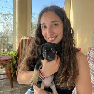 Pet Sitting em Viana do Castelo