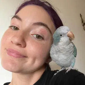 Pet sitting a Foiano della Chiana