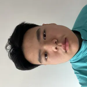 Prof particulier Anglais +15/20 en moyenne en 1ere