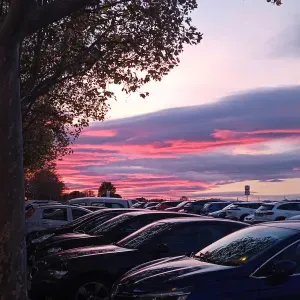 Busco empleo de limpieza en Madrid Villanueva de la cañada