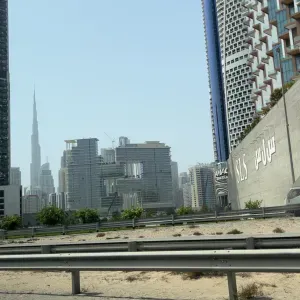 Limar Yousif pet-Sitter à lille