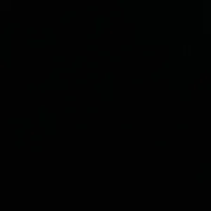 Addetta alle pulizie zona Cesena e limitrofi 